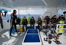 Maldives, Carpe Vita Liveaboard