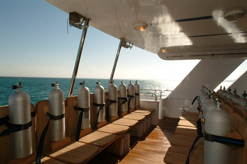 vita kistbord ~ dolce vita liveaboard diving egypt vita kistbord ~ dolce vita liveaboard diving egypt