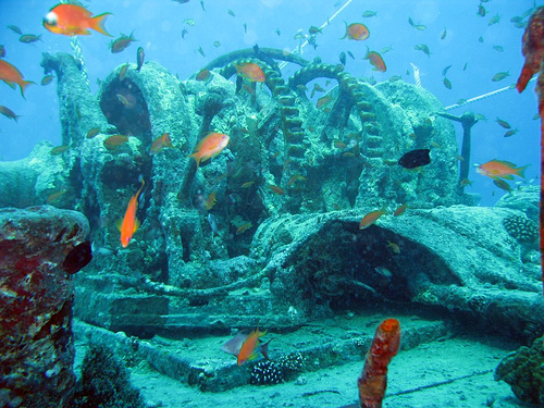 Northern Red Sea