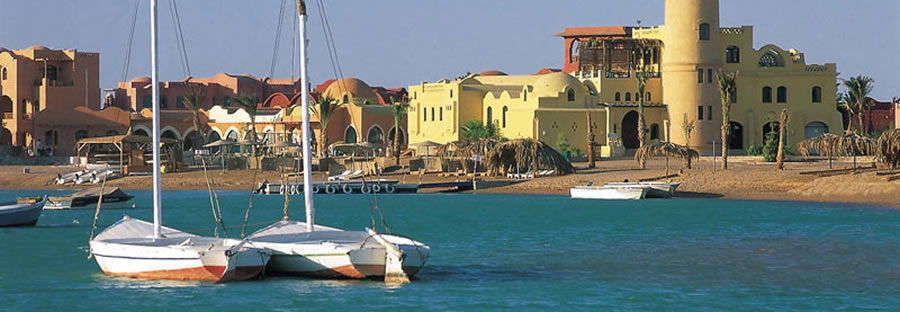 The best Dive holidays!