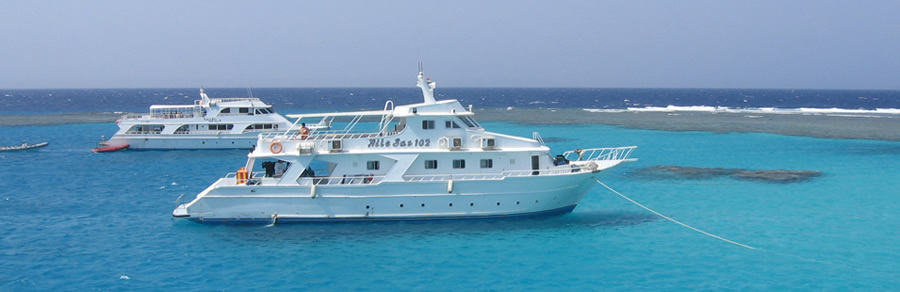 The best Dive holidays!
