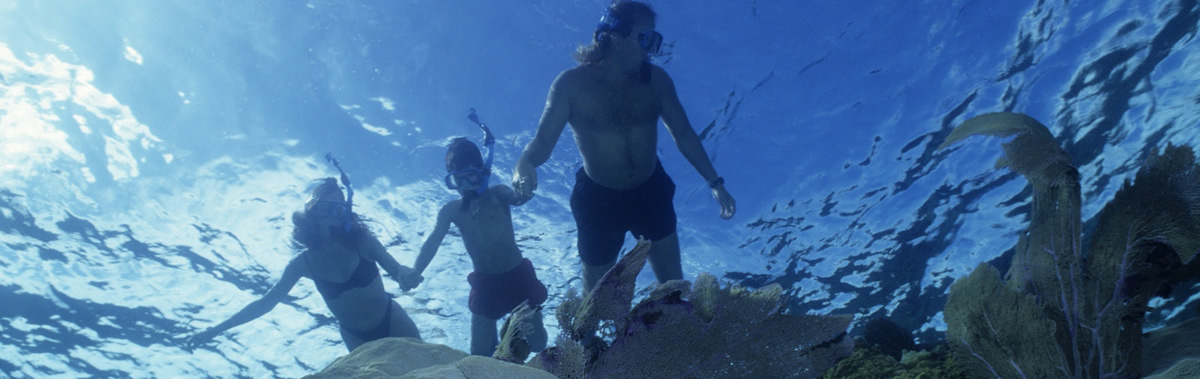 The best Dive holidays!