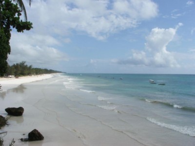 The best Dive holidays!