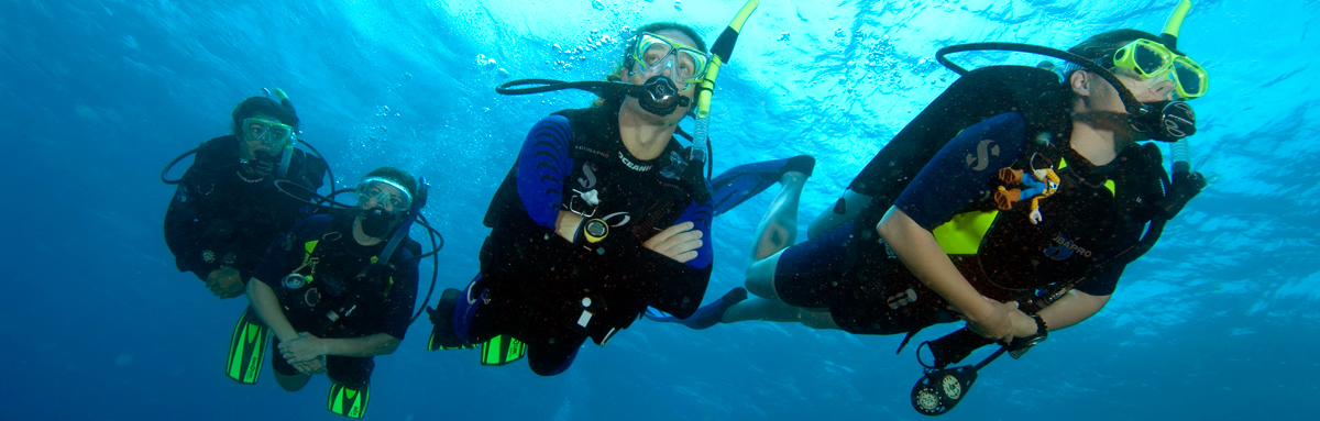 The best Dive holidays!