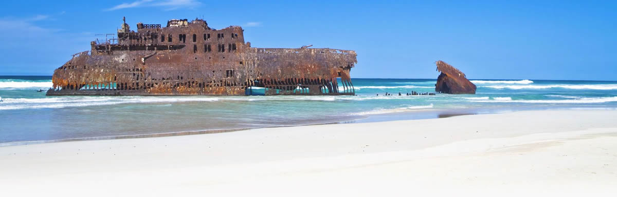 The best Dive holidays!