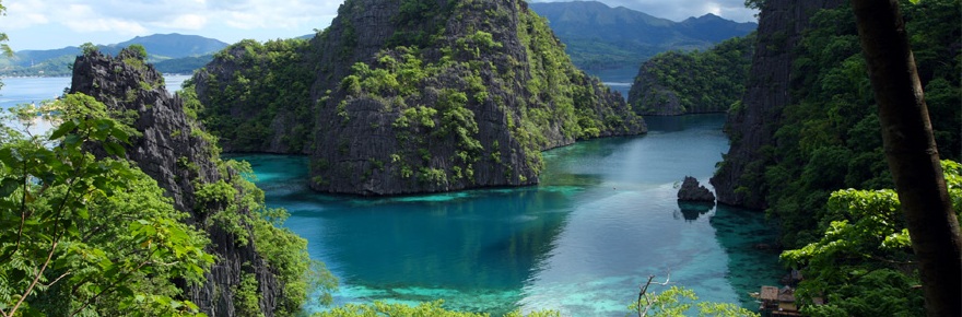 The best Dive holidays!