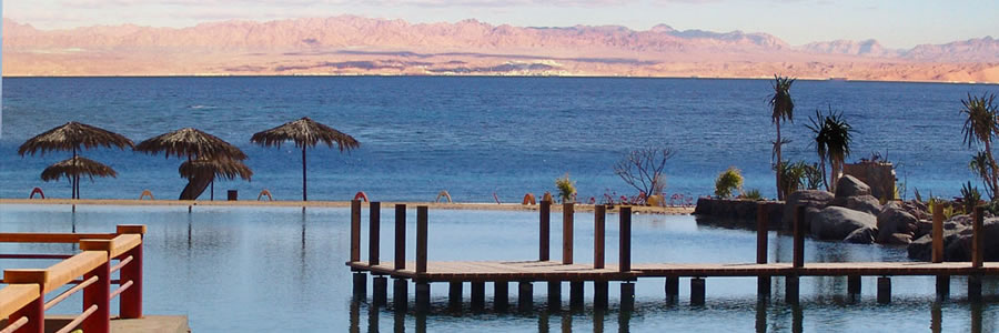 The best Dive holidays!