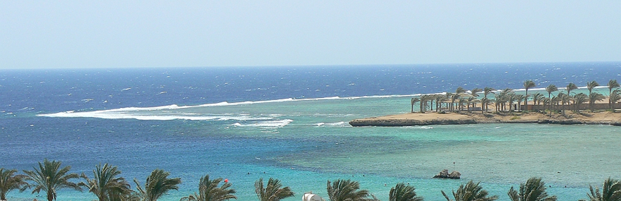 The best Dive holidays!