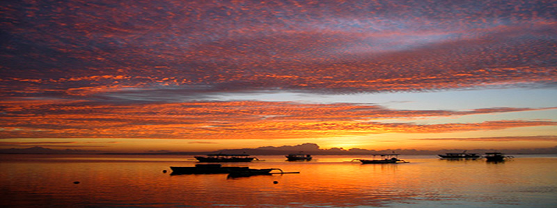 The best Dive holidays!