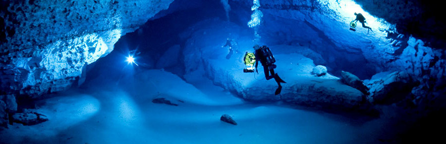 The best Dive holidays!