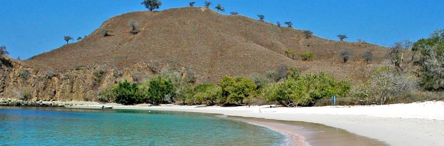 The best Dive holidays!