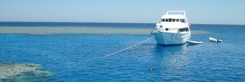 The best Dive holidays!