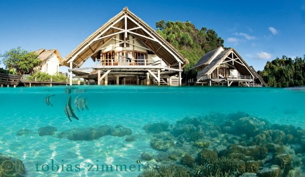 Hotels in papua: Misool Eco Resort