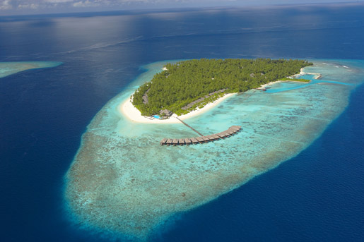 Hotels in maldives: Filitheyo Island Resort