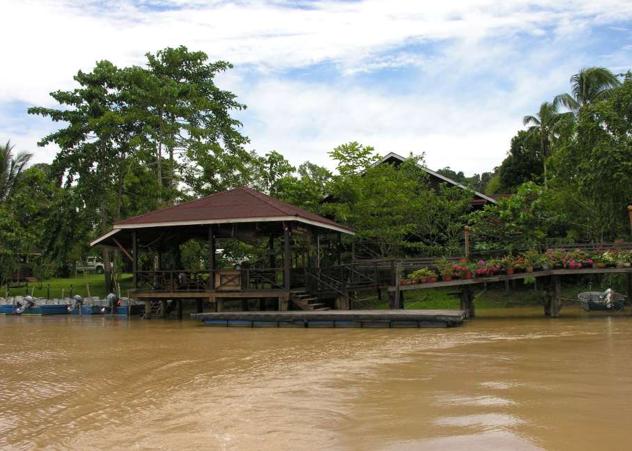 HOTEL in REEF-AND-RAINFOREST