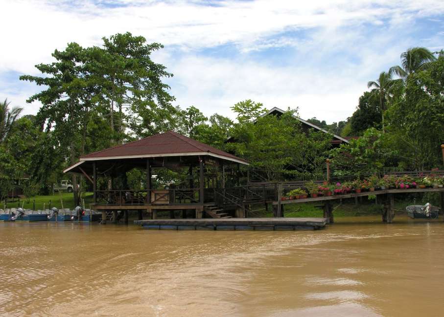 HOTEL in ORANGUTANS-AND-WILDLIFE