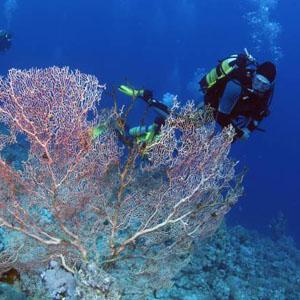 Hotels in marsa alam: Marina Lodge