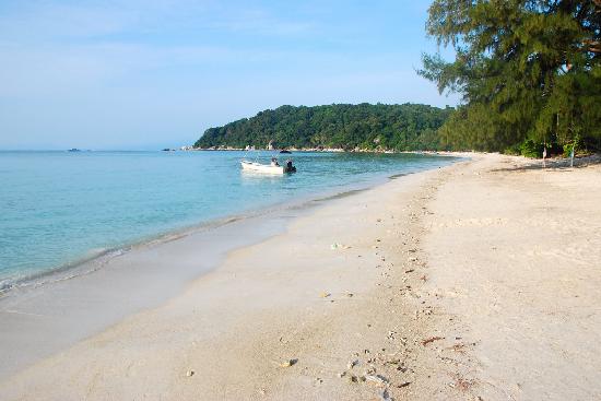 Hotels in peninsula malaysia: Bayu Dive Lodge