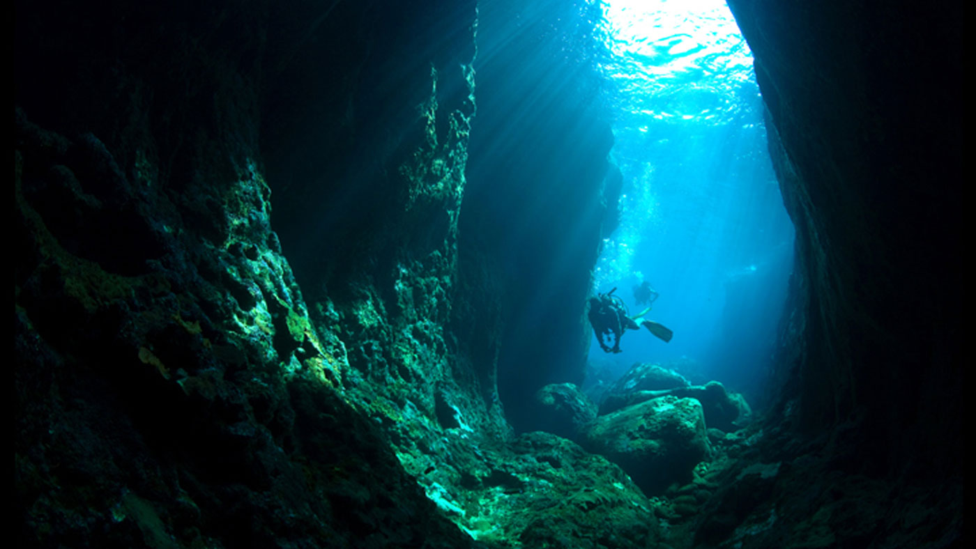 Dive Centre (Redang), Peninsula Malaysia