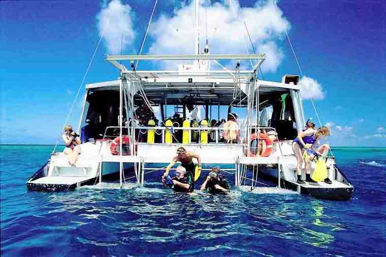 Dive Asia Day Trips and PADI Courses Phuket Thailand dive asia day trips and padi courses, dive asia phuket thailand, dive asia phuket review, dive asia phuket tripadvisor, dive asia phuket idc, dive travel asia phuket, dive adventures asia phuket, paradise diving asia phuket, asia dive tech phuket, dive asia kata beach phuket, dive asia phuket, asia divers phuket, dive asia in phuket, day trips phuket to phi phi island, day trips phuket reviews, day trips phuket to phi phi, day trips phuket phang nga bay, day trips phuket thailand, day trips phuket to krabi, day trip phuket to similan islands, day trip phuket to koh phi phi, day trip phuket to bangkok, day trip phuket to koh samui, day trips phuket, day trips around phuket, day trip at phuket, day tours around phuket, tripadvisor day trips phuket, phuket tours and day trips, day trip boat phuket, day trip phuket to burma, day trips karon beach phuket, day trips from patong beach phuket, best day trips phuket, day trips from kata beach phuket, day trips from phuket to james bond island, speed boat day trips phuket, day trip catamaran phuket, phuket, thailand, phuket thailand, phuket thailand resorts, phuket thailand map, phuket thailand tsunami, phuket thailand beaches, phuket thailand flights, phuket thailand honeymoon, phuket thailand hotels, phuket thailand attractions, phuket thailand activities, phuket thailand apartments, a map of phuket thailand, phuket thailand beach resorts, phuket thailand best hotels, phuket thailand beach hotels, phuket thailand best beaches, phuket thailand diving, phuket thailand day trips, phuket thailand dive resorts, phuket thailand deep sea fishing, phuket thailand destination wedding, phuket thailand destinations, phuket thailand elephant, phuket thailand elephant sanctuary, phuket thailand food, phuket thailand fishing, phuket thailand four seasons, phuket thailand floating market, phuket thailand five star hotels, phuket thailand golf, phuket thailand guide, phuket thailand hostels, phuket thailand honeymoon resorts, phuket thailand images, phuket thailand islands, phuket thailand karon beach, phuket thailand kickboxing, phuket thailand kata beach, phuket thailand kata beach resort, phuket thailand luxury resorts, thailand phuket top 10 hotels, top 10 phuket thailand, top 10 beaches phuket thailand, top 10 hotels phuket thailand, top 10 resorts phuket thailand, top 10 restaurants phuket thailand, 10 best restaurants in phuket thailand,