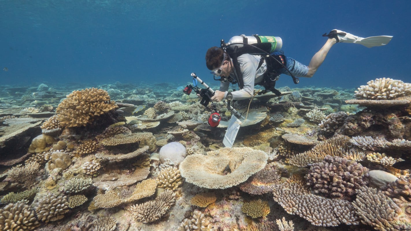 Coral Reef CPR marine biologists joining Carpe Vita August 10/20, 2016