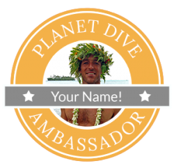 badge-ambassador