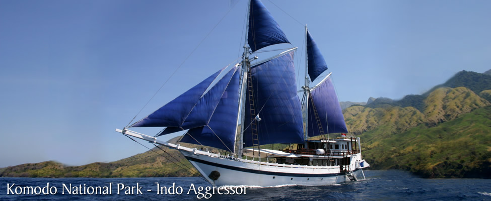 Liveaboard in Komodo National Park