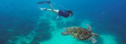 Atmosphere-diving-holiday