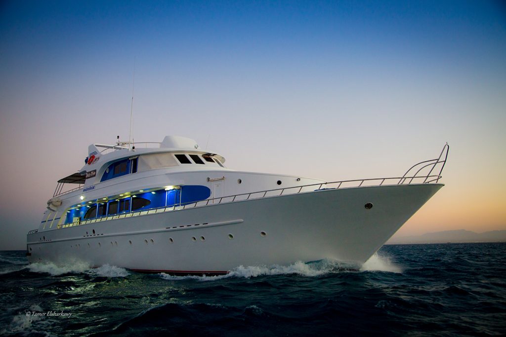 Sudan-liveaboard-diving-dolce-vita