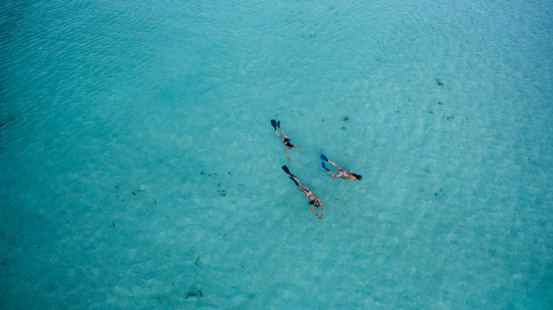 diving-maldives