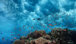waves-breaking-over-a-reef-jordi-chias