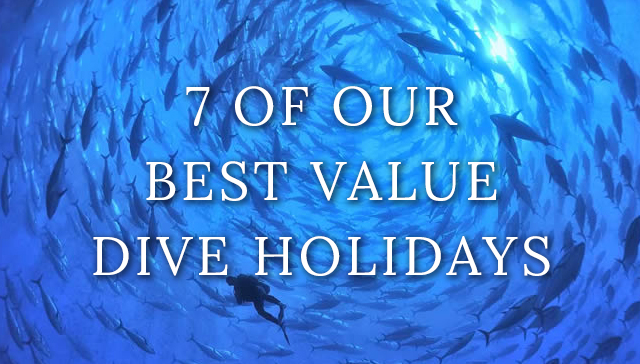 dive-holidays-best-value