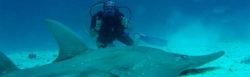 olhuveli-diving