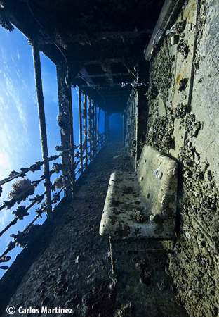 wreck-diving