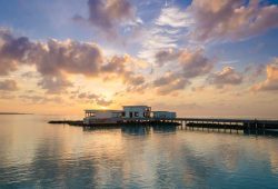 Amilla-fushi-Feeling-Koi