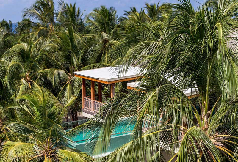 Wellness-Tree-House-Amilla-Fushi-Maldives