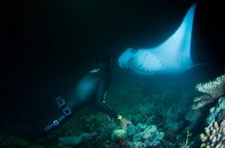 free-diving-scuba-workshop-miguel-lozano-maldives