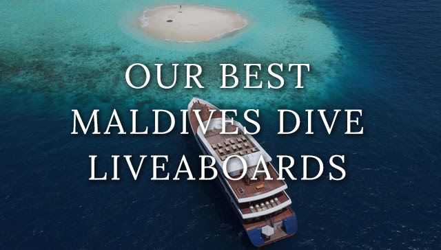 maldives-liveaboards