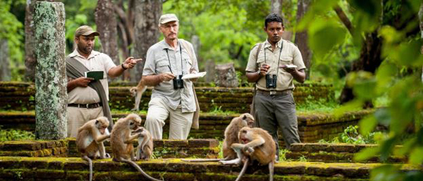 monkey-kingdom-sri-lanka
