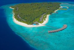 dive_maldives