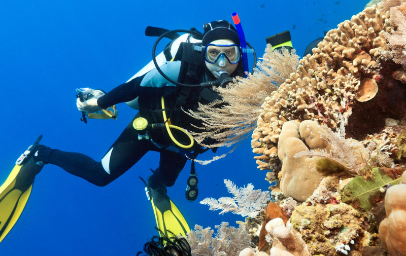 Dive-maldives-cocoon