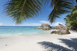 Anse Patates La Digue - Chris Close