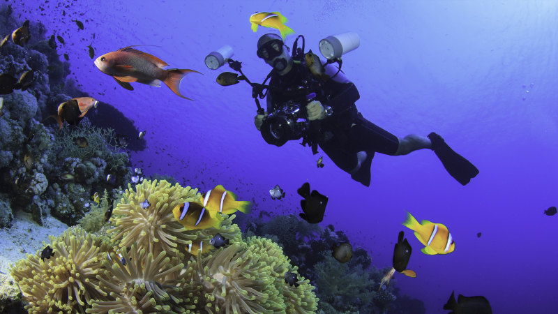 Mauritius-diver
