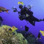 Mauritius-diving