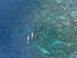 Snorkelling-Baros-Maldives