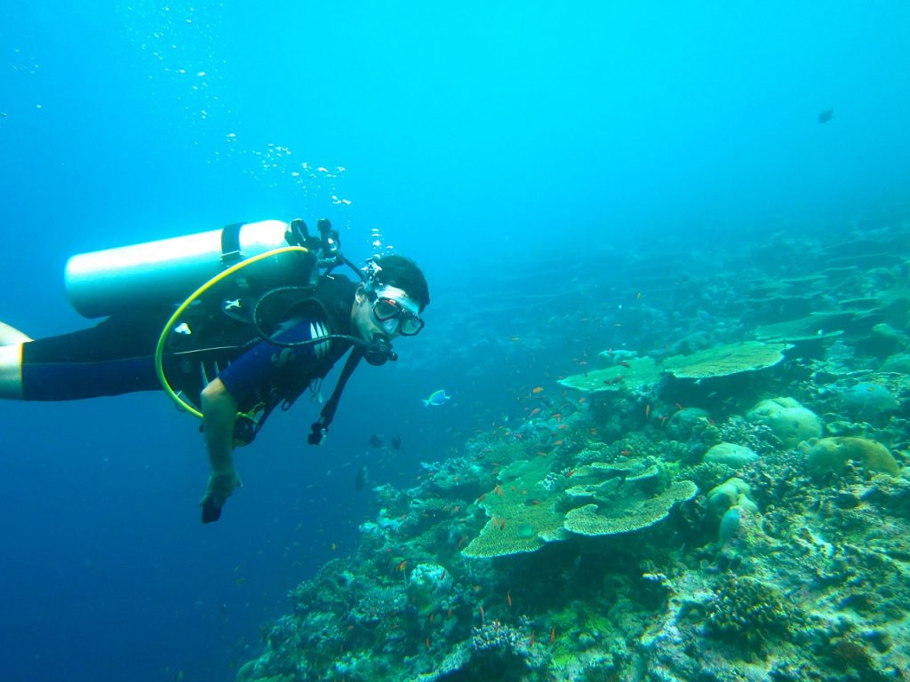 diving-maldives