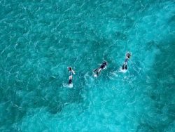 Azura-Quilalea-snorkeling