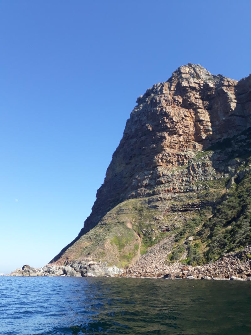 Hout-Bay-Seal-Snorkel