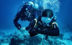 Mauritius-learn-to-dive