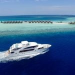 Carpe-novo-maldives